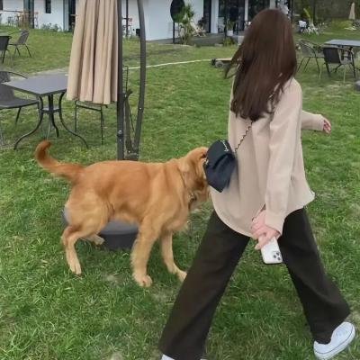 学校万花筒